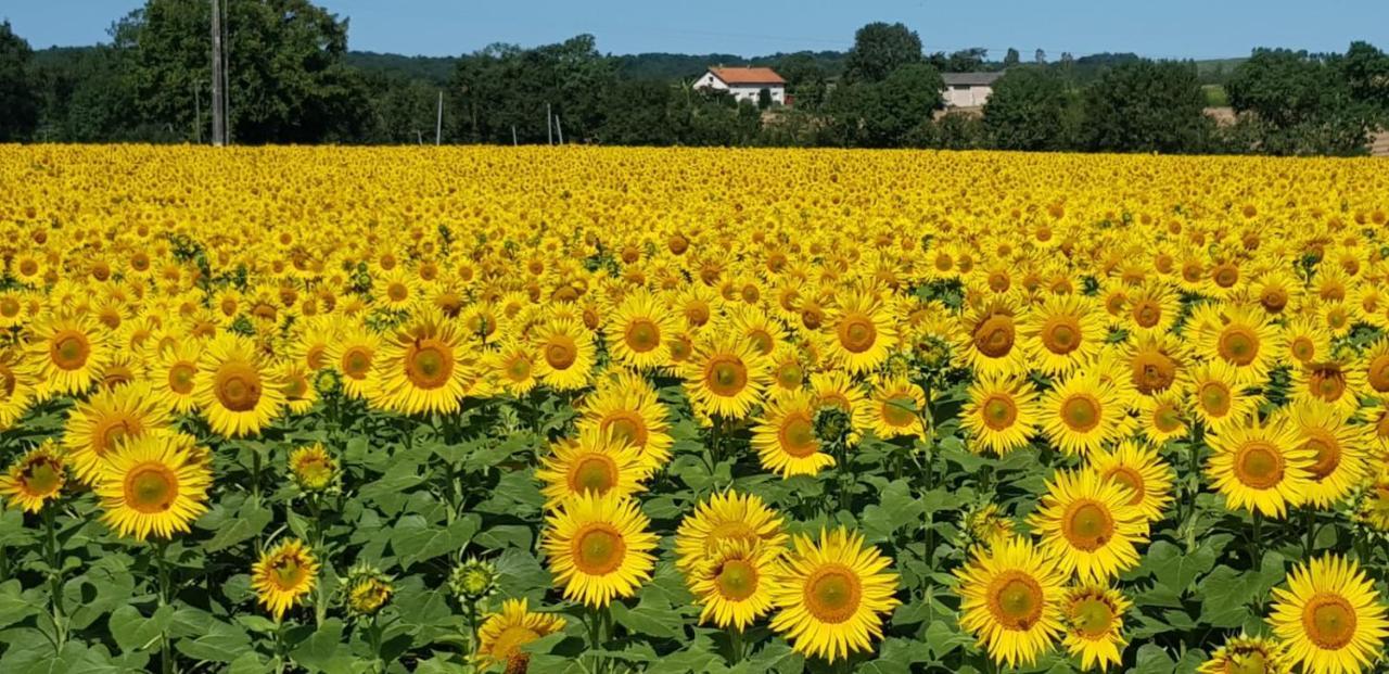 Bed and Breakfast Les Grands Bois Pomport Экстерьер фото
